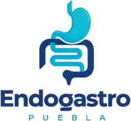 Logo de Endogastro